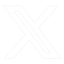 X logo linking to the BRUM AI X page